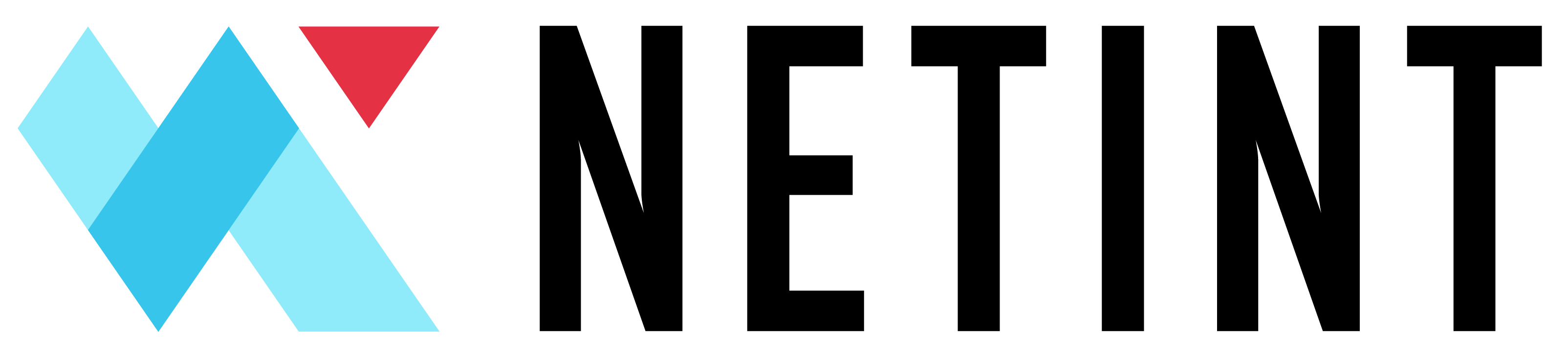 ネットイント