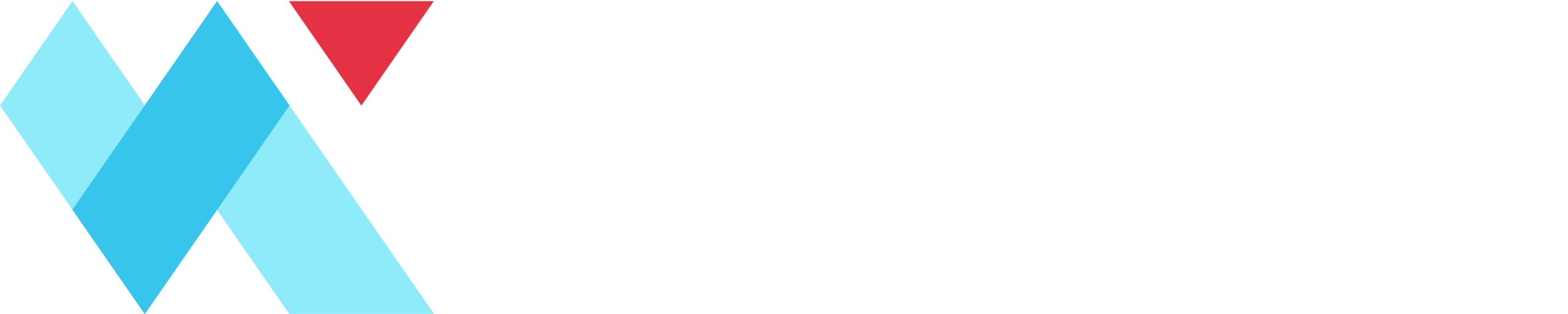 NETINTロゴ